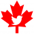 Twitter logo in maple leaf