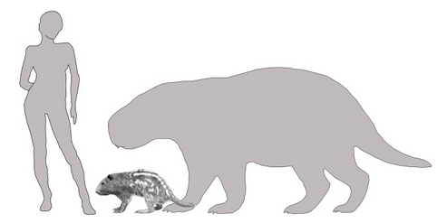 Outline of woman next to small animal and larger outline of animal