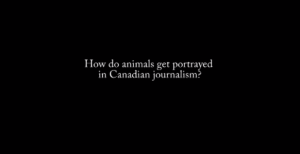 "How do animals get portrayed in Canadian journalism?"