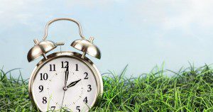 Alarm clock in grass