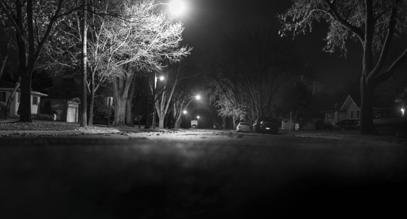 Black and white photo of trees along a trail at night
