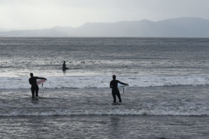 The Narwhal surfers