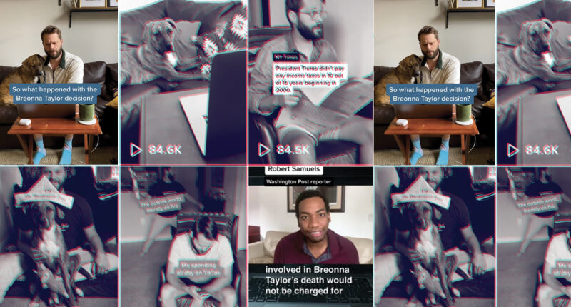 Collage of TikTok videos