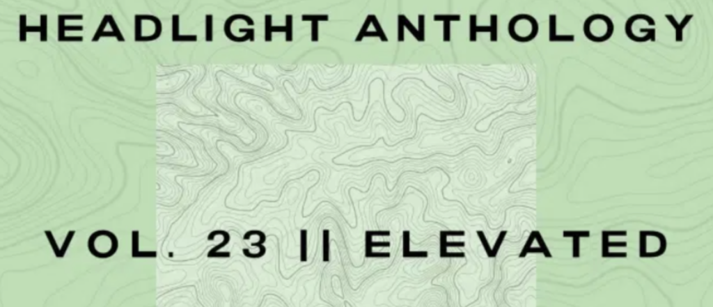 Headlight Anthology, volume 23 plain cover