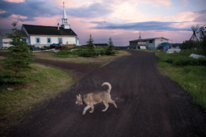 A dog walks near the Church of the Holy Family in Łutsël K’é, Northwest Territories. The church was built near the present day settlement in the 1930’s and moved to its current location at the tip of the peninsula