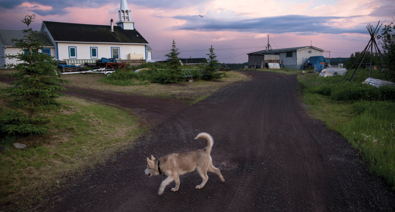 A dog walks near the Church of the Holy Family in Łutsël K’é, Northwest Territories. The church was built near the present day settlement in the 1930’s and moved to its current location at the tip of the peninsula